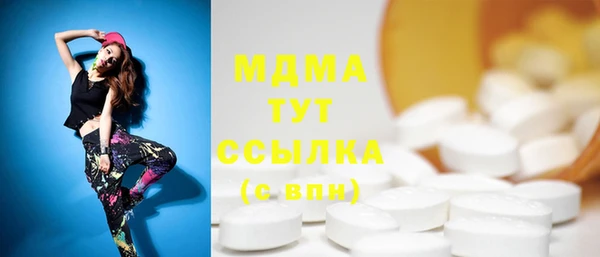 индика Чегем