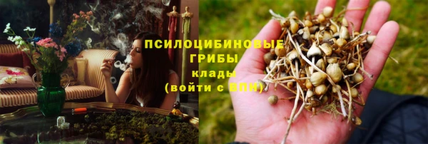 прущая мука Чердынь